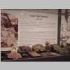 Exhibit View